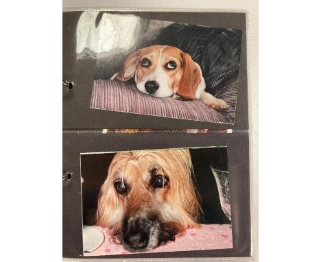 Two Albums of Vintage postcards, various themes.