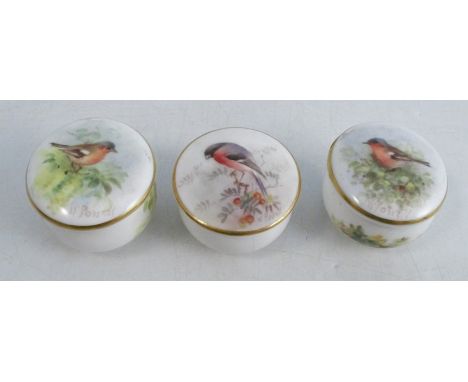 Three Royal Worcester patch boxes, each decorated with English birds, signed PowellCondition Report:  base with sticker marke