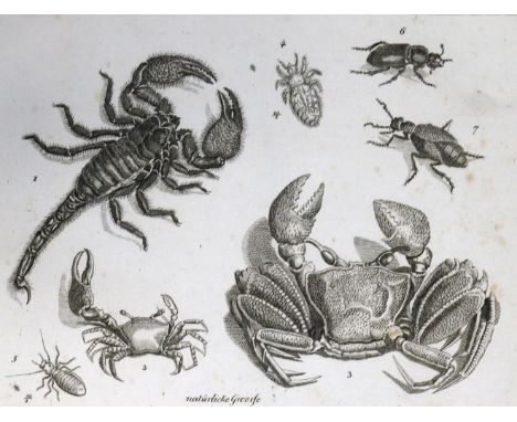 Funke,(C.P.).: Kupfer-Sammlung besonders zu(r) Naturgeschichte und Technologie aber auch zu jedem anderen Lehrbuche der Natur
