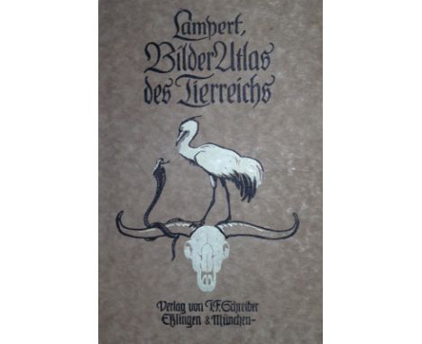 Sammlung: von 37 Bdn. Meist 20. Jhdt. Versch. Einbände u. Formate.  ╔Enthält u.a.:╗ Lampert,K. Bilder-Atlas des Tierreichs. 2