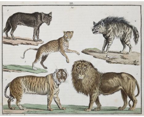 Funke,(C.P.).: Kupfer-Sammlung besonders zu(r) Naturgeschichte und Technologie aber auch zu jedem anderen Lehrbuche der Natur