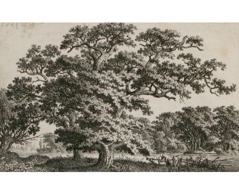 Kolbe, Carl Wilhelm d.Ä.: (1757 Berlin - Dessau 1835). Flusslandschaft mit Eichen u. Weide, im Vordergrund re. eine Kuh. Radi