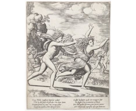 Meister mit dem Würfel: (1530-1560 in Rom tätig). Apoll und Daphne. Radierung. 24 x 18,5 cm. Über den Rand beschnitten. Unter