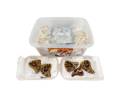 A box of mixed papered butterflies - mostly Indonesia 