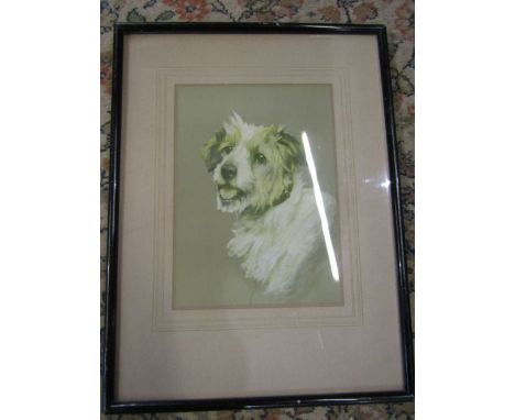 A framed print rough coated Jack Russell