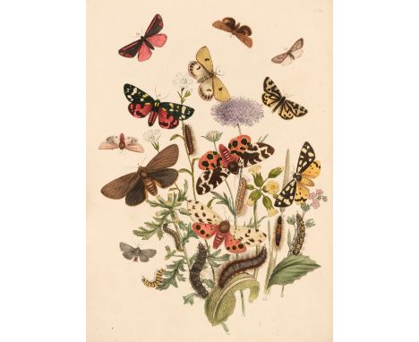 Humphreys (Henry Noel and Westwood, John Obadiah). British Moths and their Transformations, 2 volumes, 1st edition, London: W