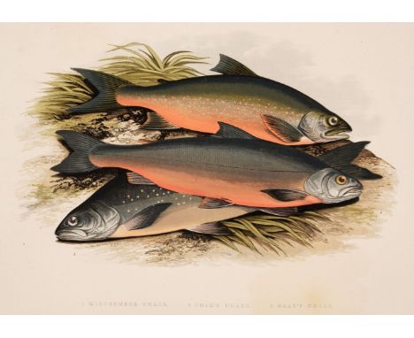 Houghton (William). British Fresh-Water Fishes, 2 volumes in one, London: William Mackenzie, [1879], 41 colour plates, some l