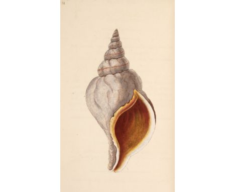 Donovan (Edward). The Natural History of British Shells, including figures and descriptions of all the species hitherto disco