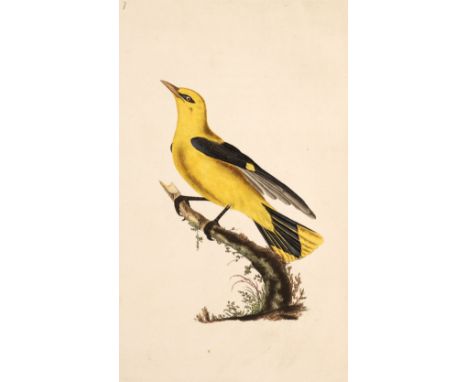 Donovan (Edward). The Natural History of British Birds, volumes I &amp; II only (of 5), London: printed for the author and fo