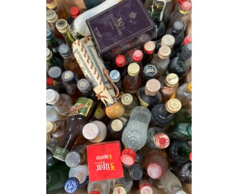 A selection of miniatures to include Chivas Regal, cognac and Finlandia vodka.