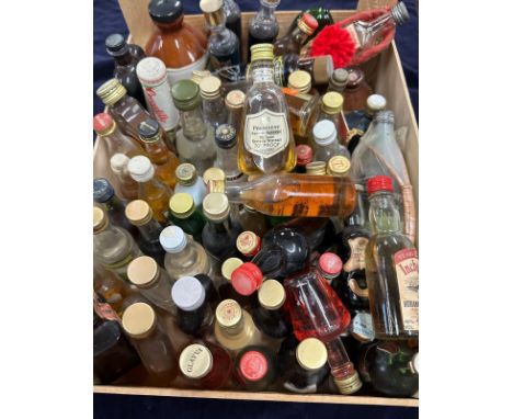 A selection of miniatures to include Romanoff vodka, White & Mackay's whisky, Paul Masson port etc