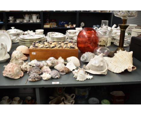 A wooden box, the top decorated with sea shells, L35cm, sold together with a group of various sea shell specimens, (22)