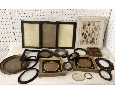 A quantity of period picture frames and a print to include: A German 19th century hand-coloured lithograph of seashells, 'Lit
