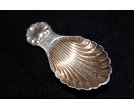 Silver scallop caddy spoon by Joseph Rodgers
