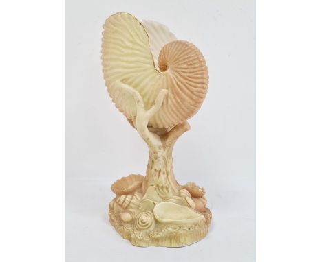 &nbsp;Royal Worcester&nbsp;nautilus shell, blush ivory ground on a rocky shell moulded base, enriched in gilding, printed puc