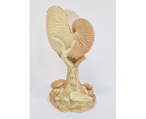 &nbsp;Royal Worcester&nbsp;nautilus shell, blush ivory ground on a rocky shell moulded base, enriched in gilding, printed puc