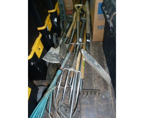 Collection of garden tools including small and large digging forks and spades, Dutch and push hoes