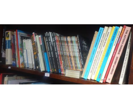 A COLLECTION OF BOOKS OF AMERICAN COMIC BOOK INTEREST, MARVEL ETC. and Tintin, Asterix, Beano etc (one shelf)