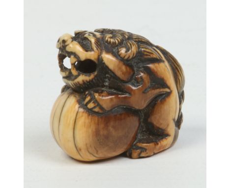 A Japanese Edo period ivory netsuke. Carved in the form of a Shishi guarding a ball. Unmarked, 3cm.   Condition Report. To be