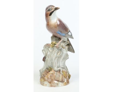 An early 19th century large Meissen model of a Jay. Coloured in enamels and modelled perched upon a tree stump applied with l