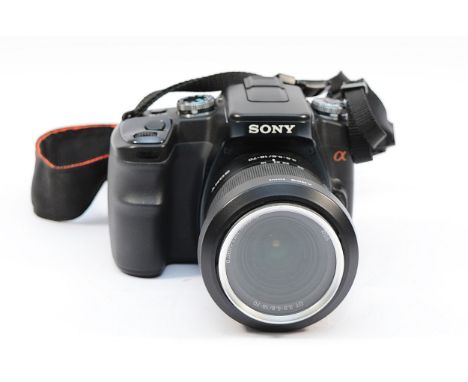 A Sony A100 digital camera, with Sony f/3.5-5.6 18-70mm lens.