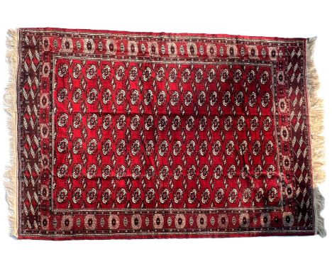 Hand-knotted wool carpet with oriental decor, Bochara, 370x244 cm