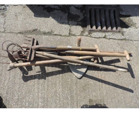 Quantity of Garden Tools 