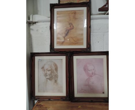 3x Portrait Prints in Decorative Frames 