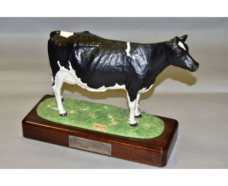 A SHEBEG ISLE OF MAN POTTERY FRESIAN COW, modelled by John Harpur, numbered 112, mounted to a wooden plinth, total approximat