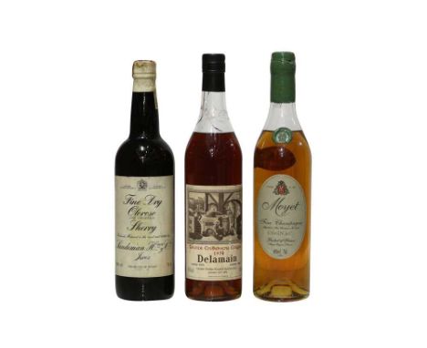 Delamain, Grande Champagne Cognac, 1970, 40% vol, 700ml, one bottle; Moyet, Fine Champagne Cognac, 40% vol, 70cl, one bottle 