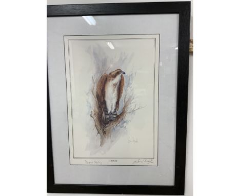 A signed print of an Osprey by Ben MaileW:28cm x D:cm x H:39cm.                   Framed W:50cm x D:cm x H:65cm