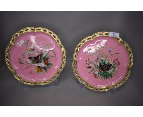 A pair of late Victorian display plates decorated with insects and flowers
Light wear to edges of gilt, no damage or repairs&