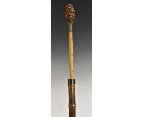 A Japanese bamboo gentleman's horse measuring stick, burr pommel, white metal collar, enclosing a boxwood scale, brass walkin