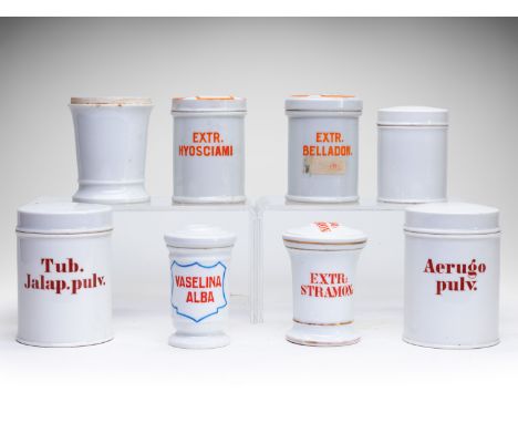 LOT OF 8 PHARMACY/APOTHECARY/MEDICAL JARS | EUROPE | 20th century | 8 - 11 cm (height) | Glazed porcelain, painted inscriptio