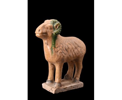Ca. 1368-1644 AD or later .A beautifully crafted ochre-coloured glazed terracotta ceramic figure of a ram. The rams wool is d