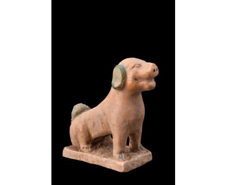 Ca. 1368-1644 AD or later .An ochre-coloured glazed terracotta dog depicted sitting on its haunches, with its tail curled ove