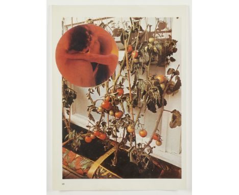 Wade Guyton (American, b. 1972). Photographic collage titled "The Tomato Lovers" depicting two figures embracing in a red cir