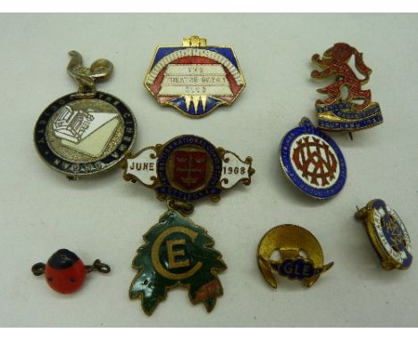 Assorted enamel badges including The Theatre Organ Club