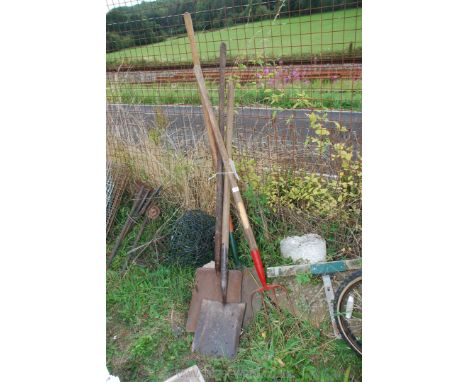 Three long handled shovels and a manure/bedding fork.