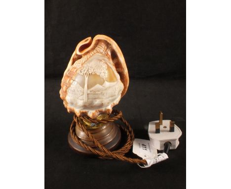 A shell cameo light with volcano and landscape carving (this item is sold as a collectors item only and has not been subject 