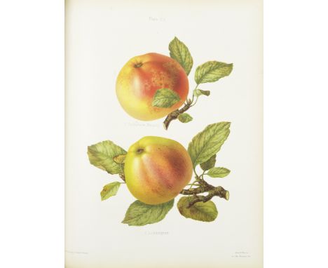 BULL (HENRY GRAVES)The Herefordshire Pomona, Containing Original Figures and Descriptions of the Most Esteemed kinds of Apple