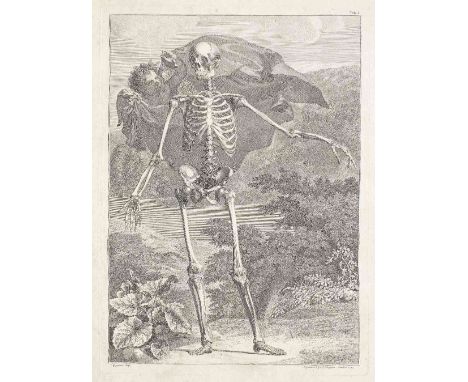 ALBINUS (BERNARD SIEGFRIED)Tables of the Skeleton and Muscles of the Human Body... Translated from the Body [-A Compleat Syst