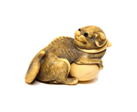 A Japanese ivory netsuke of a dog, possibly Osaka school, 19th century, seated wearing a knotted collar with its head turned 