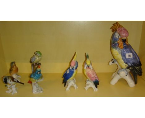 A quantity of ceramic models of birds, parrots, cockatoo and sundry.