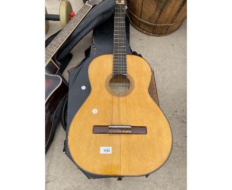 AN ACOUSTIC GUITAR WITH CARRY CASE 