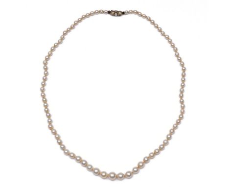 Cultive parel collier en chute. De parels met een diam. van 4 - 8mm, aan een 18 kt. witgouden sluiting, bezet met een pareltj