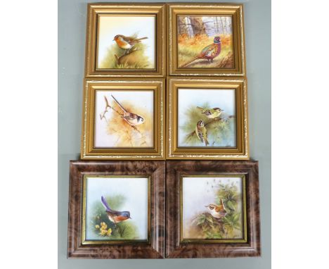 Six framed porcelain plaques with hand-decoration of British birds by ex Royal Worcester artist N Creed, 9 x 9cm
