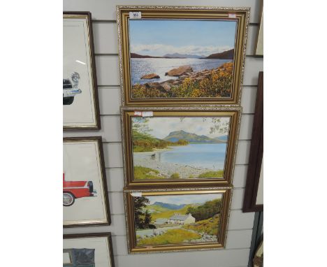 A selection of vintage oil on boards depicting local landscapes