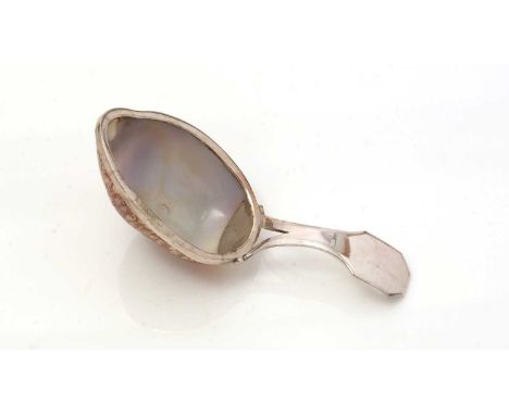 A George III silver-mounted caddy spoon, with a natural shell bowl and bifurcated stem, maker’s mark only, by Matthew Linwood