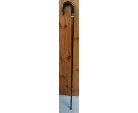 Walking Stick, Hazel wood with Black Buffalo Crook handle